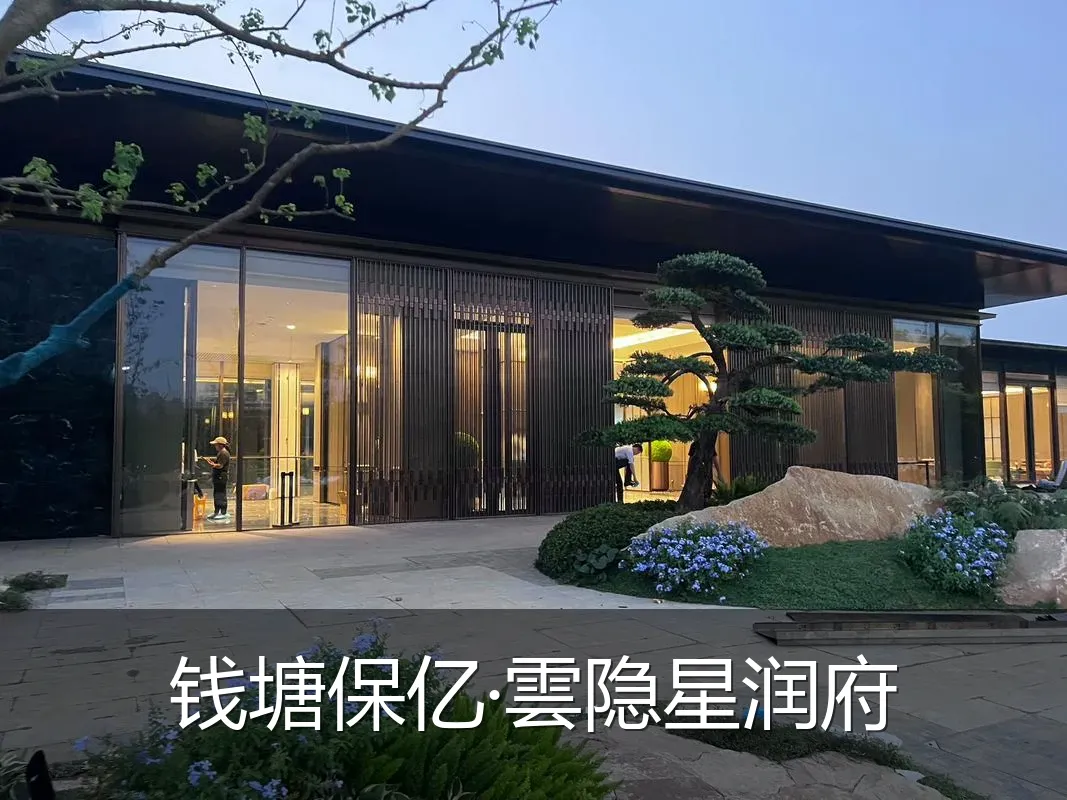 钱塘保亿·雲隐星润府